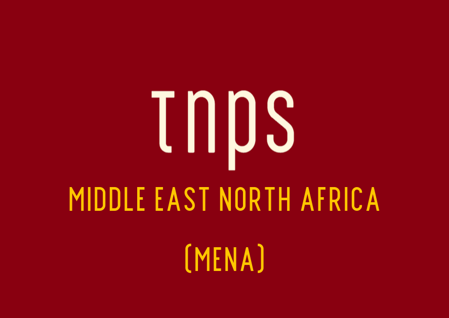 The StreetLib-TNPS global-perspectives newsletter Publish MENA #8 is now available